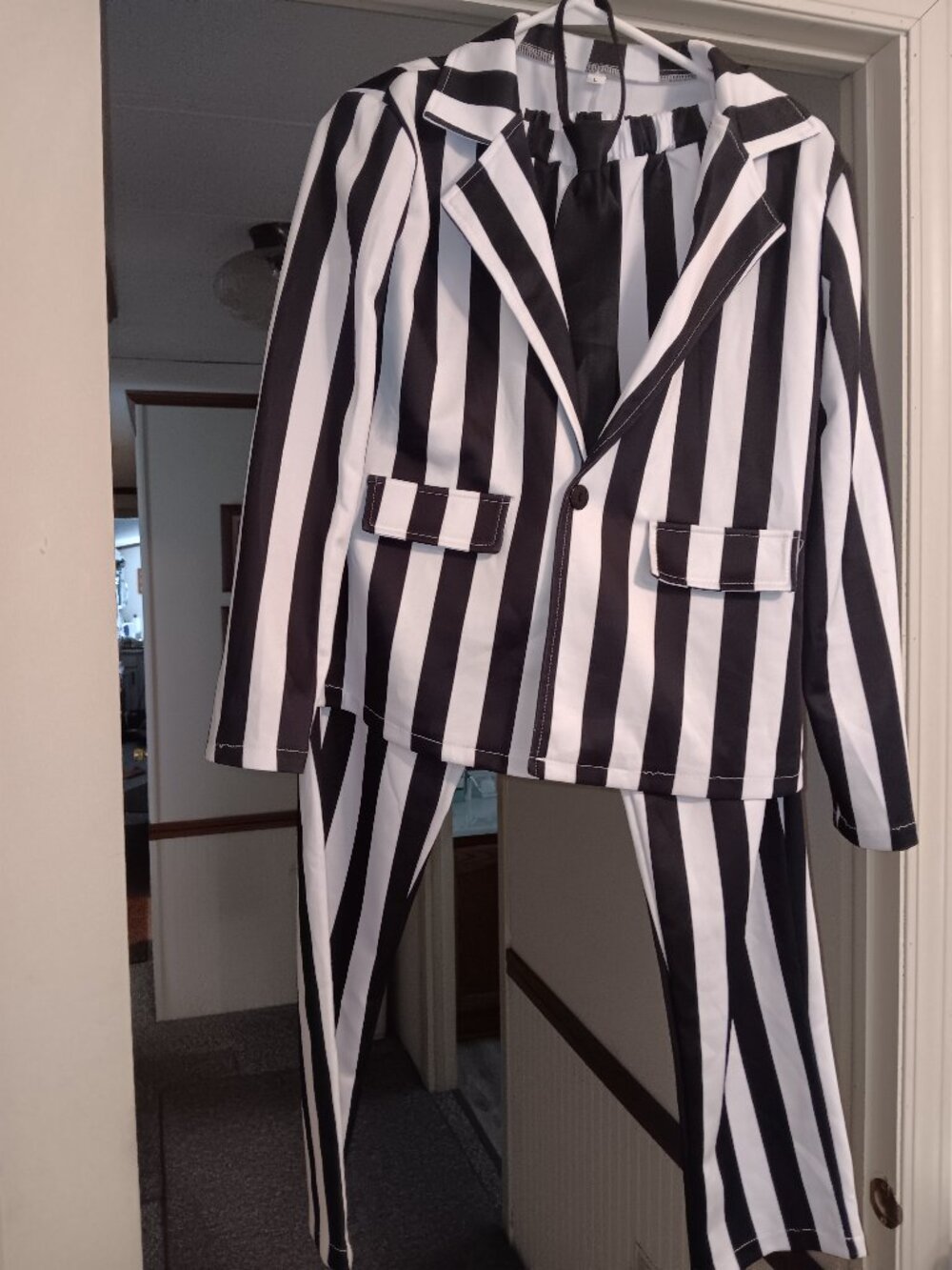 Bettle Juice Costume with Wig
